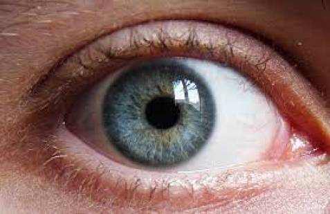 Common Eye Disorders Itching, Redness, Swelling, Burning, Pain