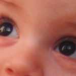 Infant's Vision Development