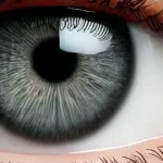 Eye