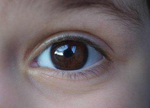 Contacts for Children