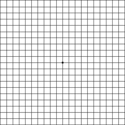 amsler grid chart types
