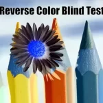 Reverse Color Blind Test