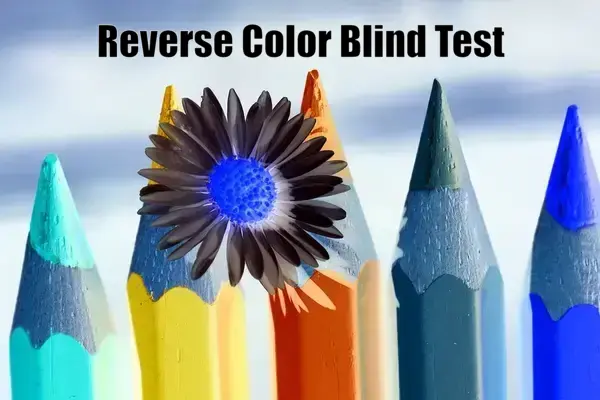 Reverse Color Blind Test